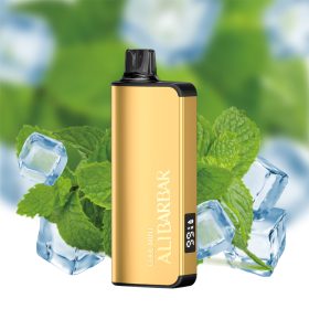 Alibarbar Ingot 9000 Cool Mint Disposable Vapes