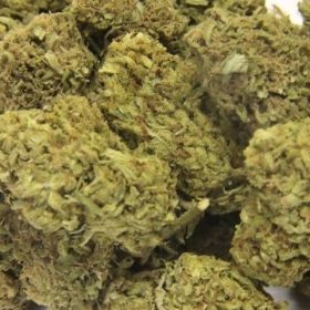 Banana Split Strain