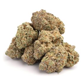 Crescendo strain