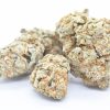 Dolato Strain