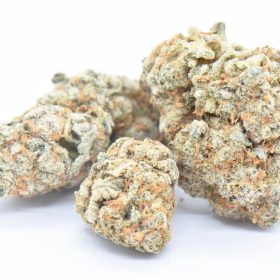 Dolato Strain