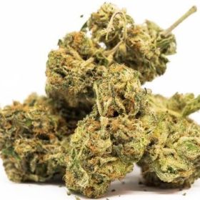 OG Kush Strain