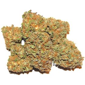 Orange Sherbet Strain (Sunset Sherbet Weed)