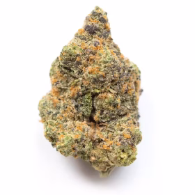 Girl Scout Cookies Strain