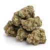 Violator Kush Strain